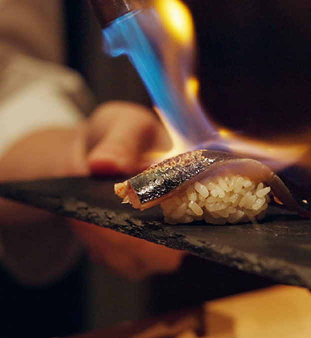 Culinary (Crème Brulee , Browning Meringues)